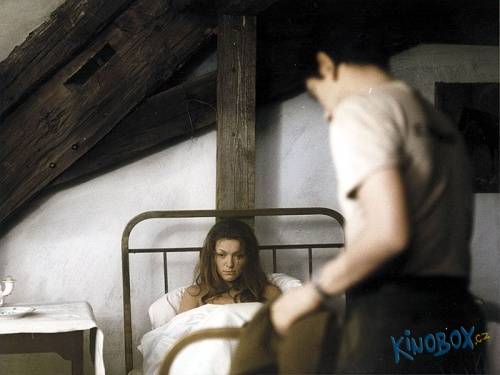 Altvatergebirge im Film